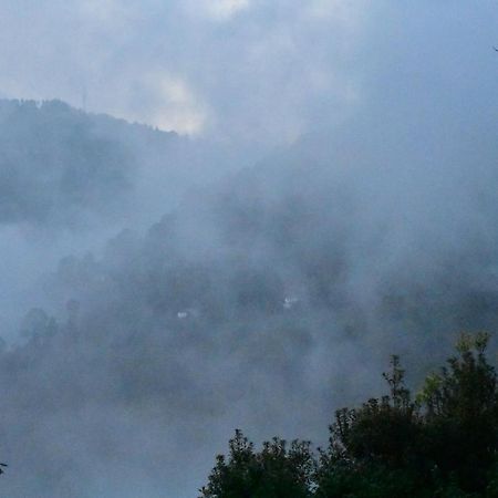 Hotel Bagar Trails à Nainital Extérieur photo